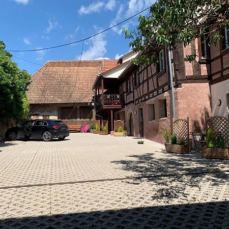 Doux Refuge Avec Terrasse Parking Gratuit Daire Beblenheim Dış mekan fotoğraf