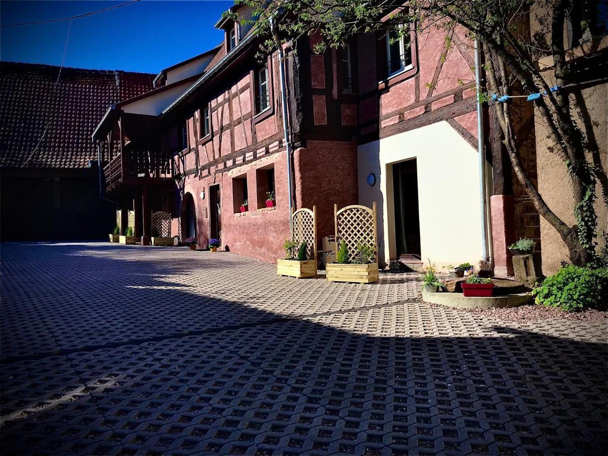 Doux Refuge Avec Terrasse Parking Gratuit Daire Beblenheim Dış mekan fotoğraf