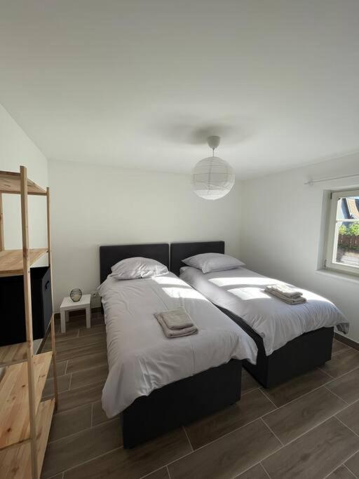 Doux Refuge Avec Terrasse Parking Gratuit Daire Beblenheim Dış mekan fotoğraf