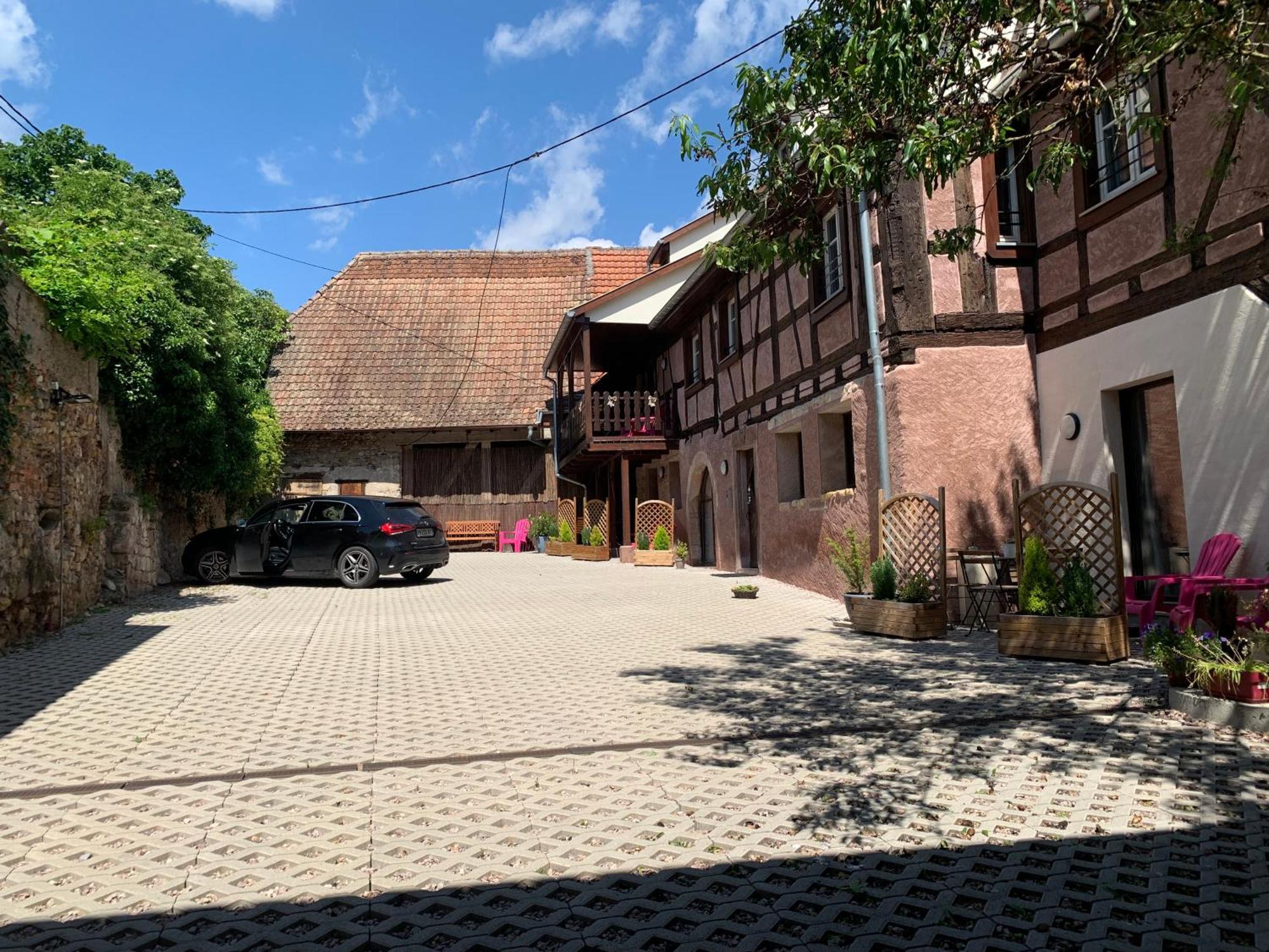 Doux Refuge Avec Terrasse Parking Gratuit Daire Beblenheim Dış mekan fotoğraf